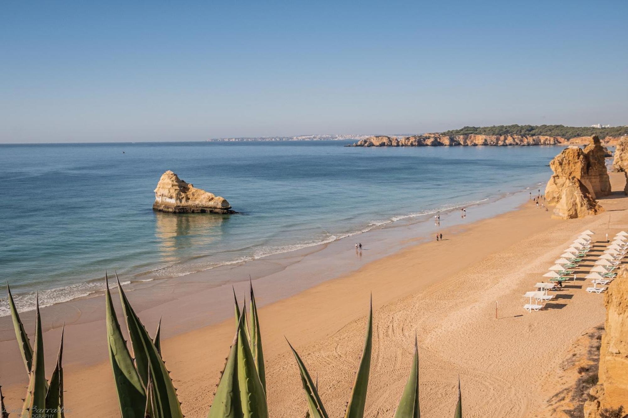 Seaside Serenity Apartment Portimão Dış mekan fotoğraf